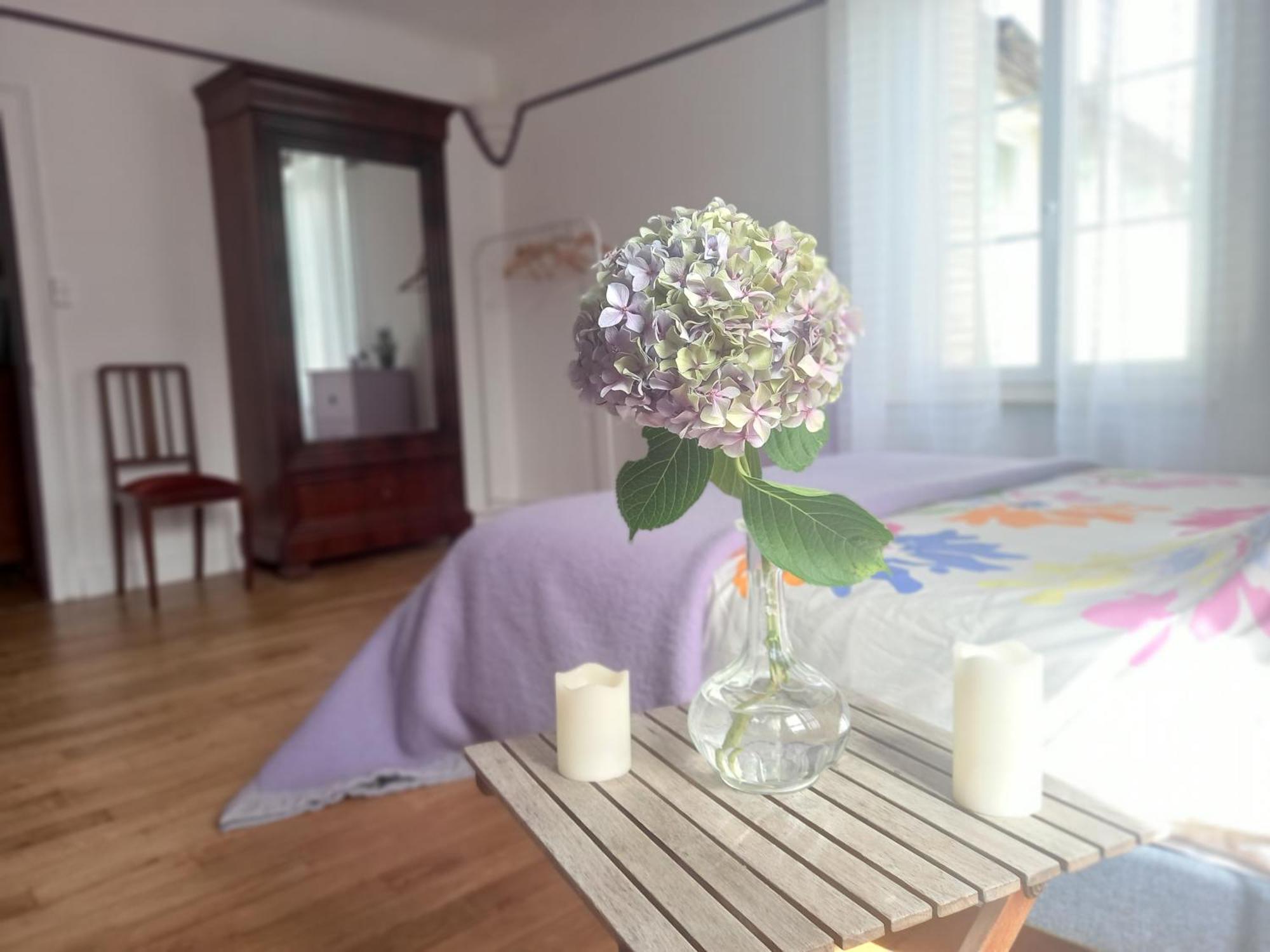 Aigurande Maison Violette En Berry מראה חיצוני תמונה
